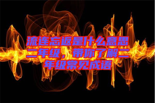 流連忘返是什么意思二年級，帶你了解二年級常見成語