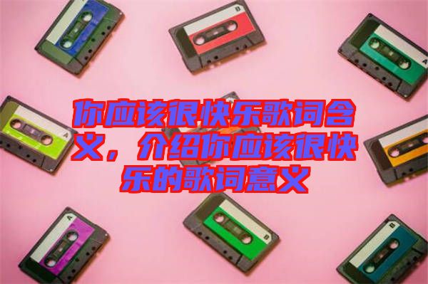 你應該很快樂歌詞含義，介紹你應該很快樂的歌詞意義