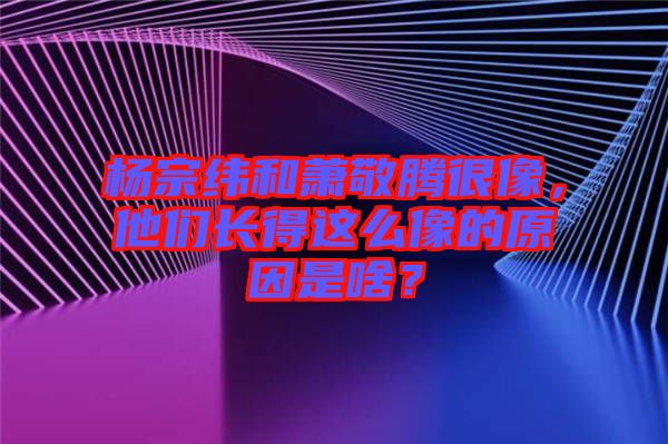 楊宗緯和蕭敬騰很像，他們長得這么像的原因是啥？