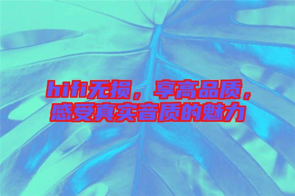 hifi無損，享高品質(zhì)，感受真實(shí)音質(zhì)的魅力
