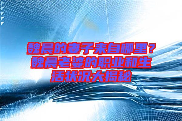 魏晨的妻子來自哪里？魏晨老婆的職業(yè)和生活狀況大揭秘