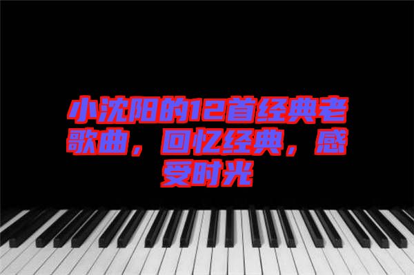 小沈陽的12首經(jīng)典老歌曲，回憶經(jīng)典，感受時光
