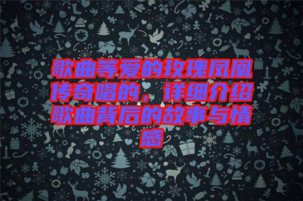 歌曲等愛的玫瑰鳳凰傳奇唱的，詳細介紹歌曲背后的故事與情感
