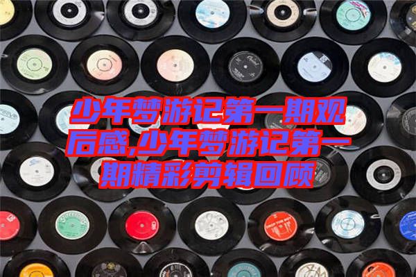 少年夢(mèng)游記第一期觀后感,少年夢(mèng)游記第一期精彩剪輯回顧