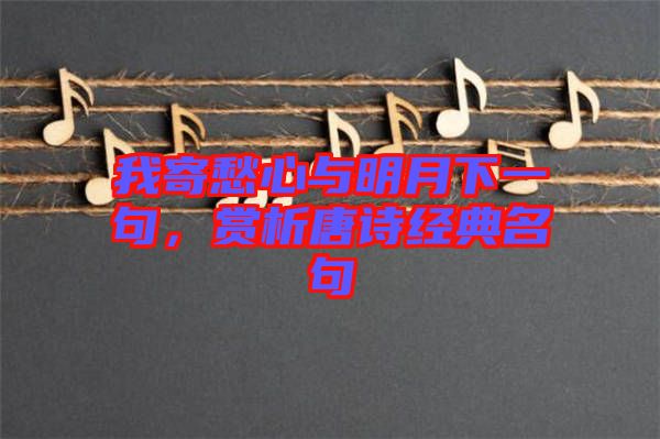 我寄愁心與明月下一句，賞析唐詩(shī)經(jīng)典名句