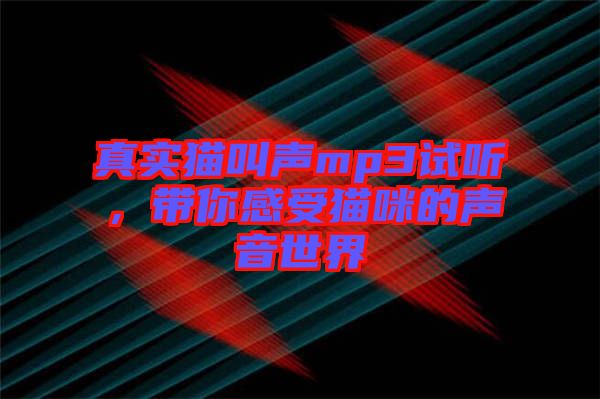真實貓叫聲mp3試聽，帶你感受貓咪的聲音世界