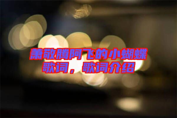 蕭敬騰阿飛的小蝴蝶歌詞，歌詞介紹