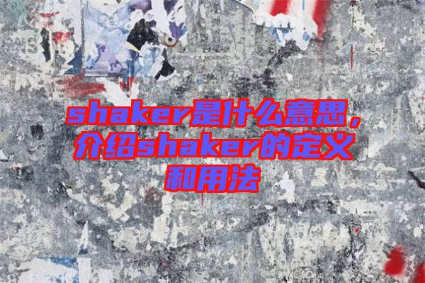 shaker是什么意思，介紹shaker的定義和用法