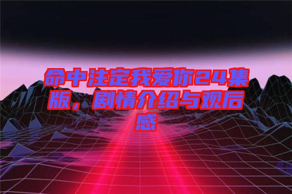 命中注定我愛你24集版，劇情介紹與觀后感