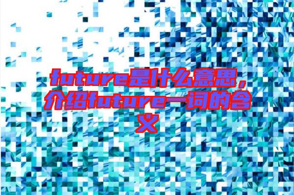 future是什么意思，介紹future一詞的含義