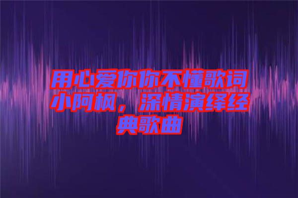 用心愛(ài)你你不懂歌詞小阿楓，深情演繹經(jīng)典歌曲
