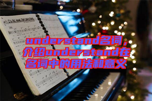 understand名詞，介紹understand在名詞中的用法和意義