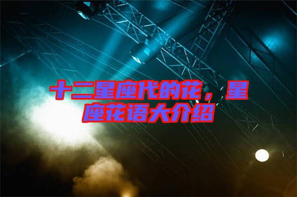 十二星座代的花，星座花語大介紹