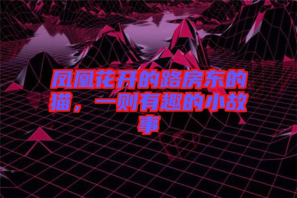 鳳凰花開(kāi)的路房東的貓，一則有趣的小故事