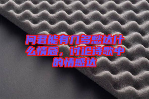 問(wèn)君能有幾多愁達(dá)什么情感，討論詩(shī)歌中的情感達(dá)