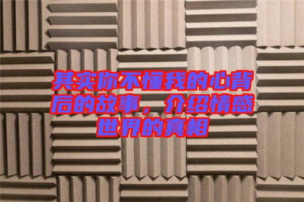 其實你不懂我的心背后的故事，介紹情感世界的真相
