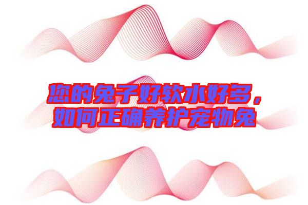 您的兔子好軟水好多，如何正確養(yǎng)護(hù)寵物兔