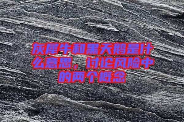 灰犀牛和黑天鵝是什么意思，討論風(fēng)險(xiǎn)中的兩個概念