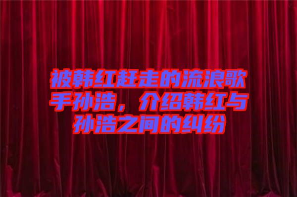 被韓紅趕走的流浪歌手孫浩，介紹韓紅與孫浩之間的糾紛