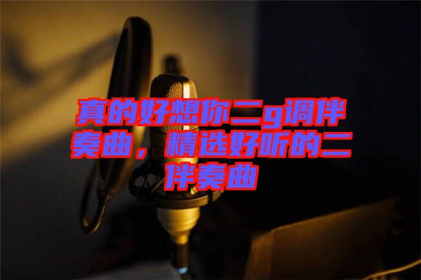 真的好想你二g調(diào)伴奏曲，精選好聽的二伴奏曲