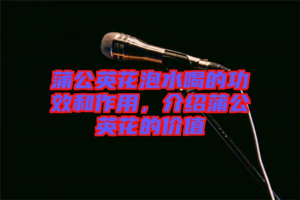 蒲公英花泡水喝的功效和作用，介紹蒲公英花的價(jià)值