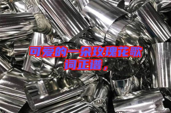 可愛(ài)的一朵玫瑰花歌詞正譜，