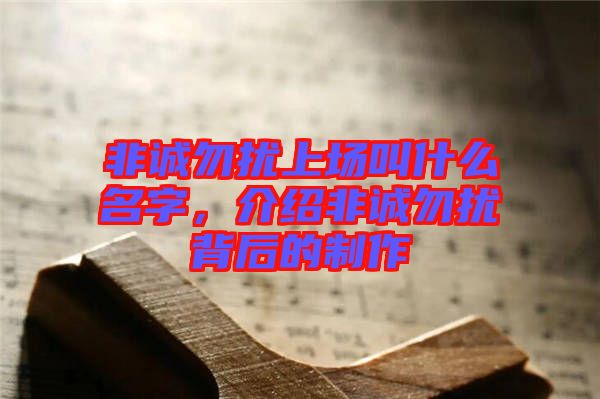 非誠(chéng)勿擾上場(chǎng)叫什么名字，介紹非誠(chéng)勿擾背后的制作