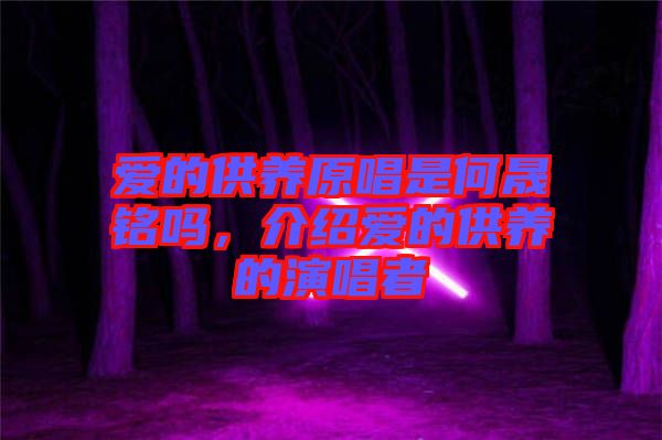 愛的供養(yǎng)原唱是何晟銘嗎，介紹愛的供養(yǎng)的演唱者