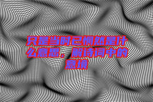 只是當時已惘然是什么意思，解詩詞中的意境