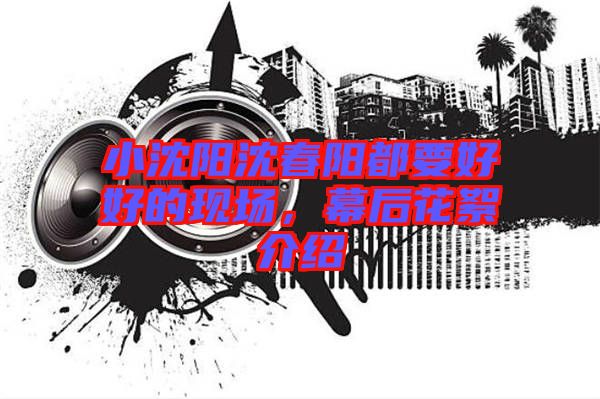 小沈陽沈春陽都要好好的現(xiàn)場，幕后花絮介紹