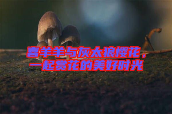 喜羊羊與灰太狼櫻花，一起賞花的美好時(shí)光