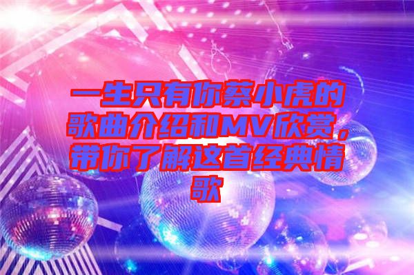 一生只有你蔡小虎的歌曲介紹和MV欣賞，帶你了解這首經(jīng)典情歌