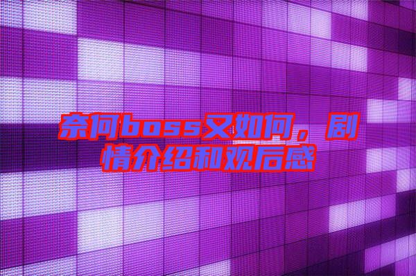 奈何boss又如何，劇情介紹和觀后感