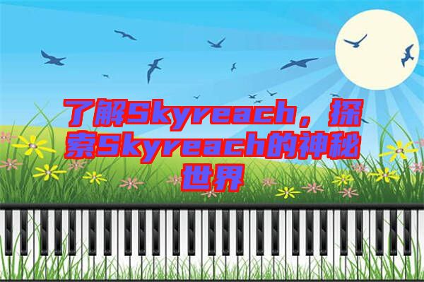 了解Skyreach，探索Skyreach的神秘世界