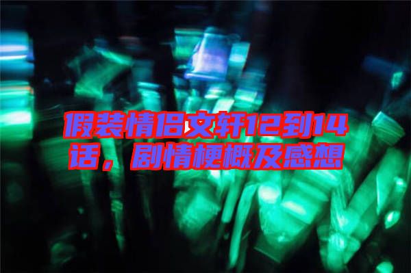 假裝情侶文軒12到14話，劇情梗概及感想