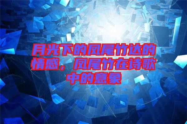 月光下的鳳尾竹達(dá)的情感，鳳尾竹在詩(shī)歌中的意象