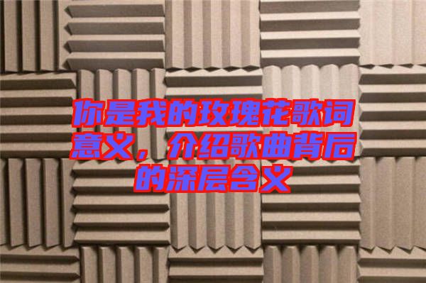 你是我的玫瑰花歌詞意義，介紹歌曲背后的深層含義