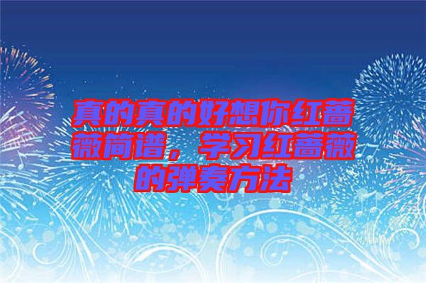 真的真的好想你紅薔薇簡譜，學(xué)習(xí)紅薔薇的彈奏方法