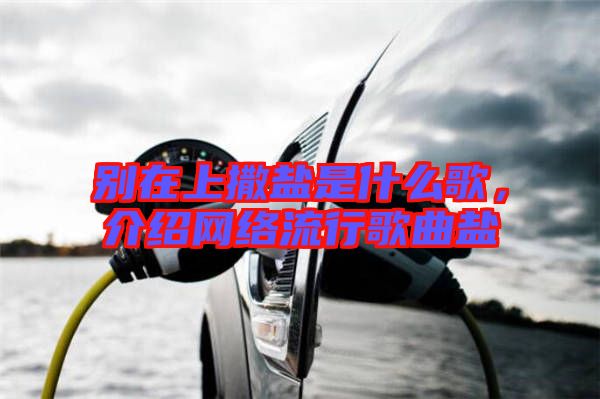 別在上撒鹽是什么歌，介紹網(wǎng)絡(luò)流行歌曲鹽