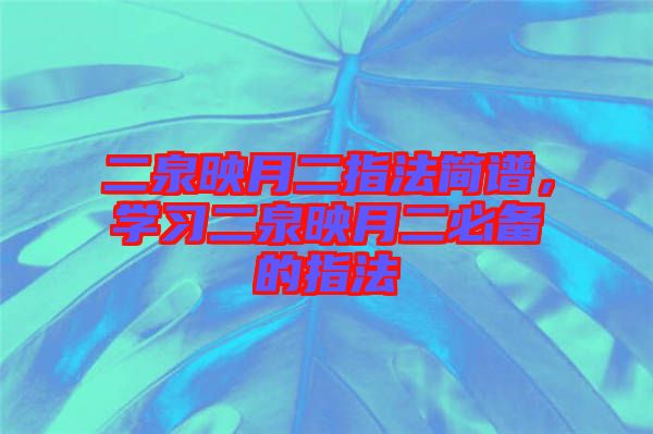 二泉映月二指法簡譜，學(xué)習(xí)二泉映月二必備的指法
