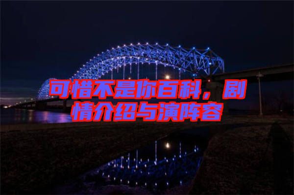 可惜不是你百科，劇情介紹與演陣容