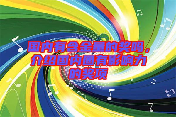 國內(nèi)有含金量的獎嗎，介紹國內(nèi)圈有影響力的獎項