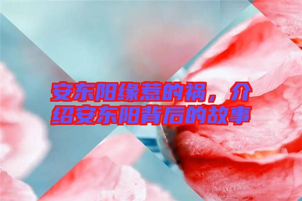 安東陽(yáng)緣惹的禍，介紹安東陽(yáng)背后的故事