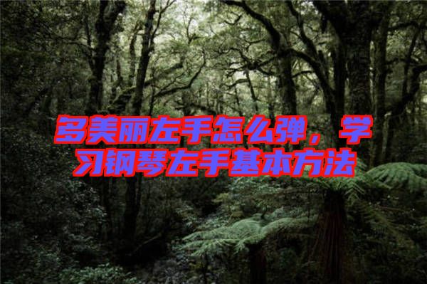 多美麗左手怎么彈，學(xué)習(xí)鋼琴左手基本方法