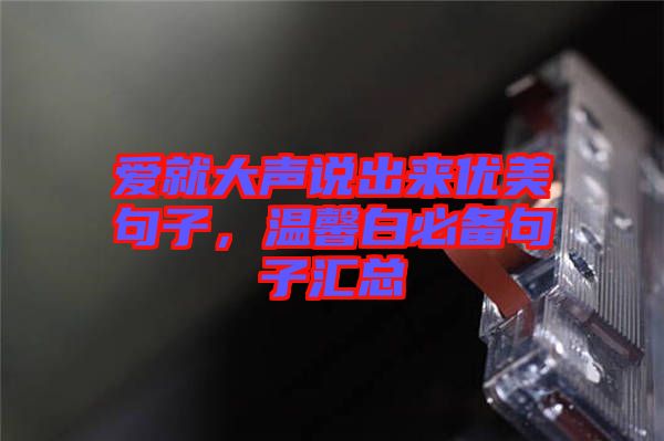 愛就大聲說出來優(yōu)美句子，溫馨白必備句子匯總