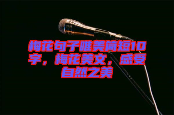 梅花句子唯美簡短10字，梅花美文，感受自然之美