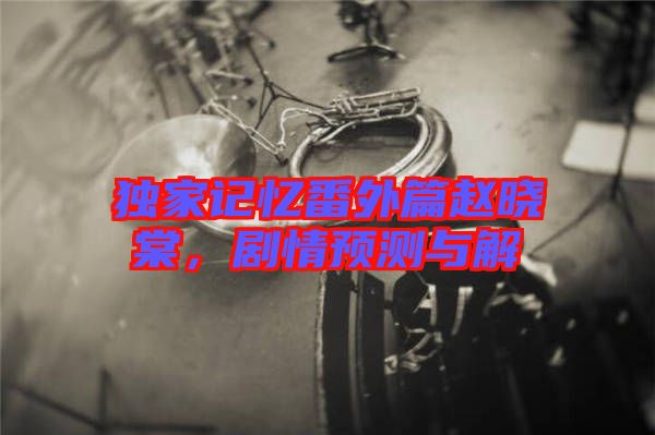 獨(dú)家記憶番外篇趙曉棠，劇情預(yù)測與解