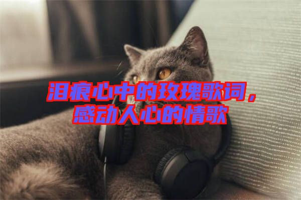 淚痕心中的玫瑰歌詞，感動人心的情歌