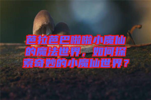 芭拉芭巴啦啦小魔仙的魔法世界，如何探索奇妙的小魔仙世界？