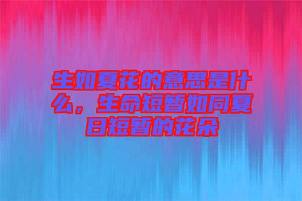 生如夏花的意思是什么，生命短暫如同夏日短暫的花朵